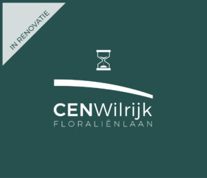 Renovatiepand in de Floraliënlaan in Wilrijk, aangeboden door Cenconstruct